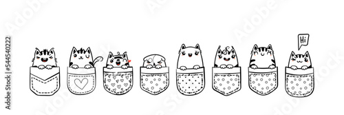 Hand Drawn Cat, Kitty, Kitten. Cute kawaii animals sitting in a pocket. Sketch, print design, illustration, children print on t-shirt