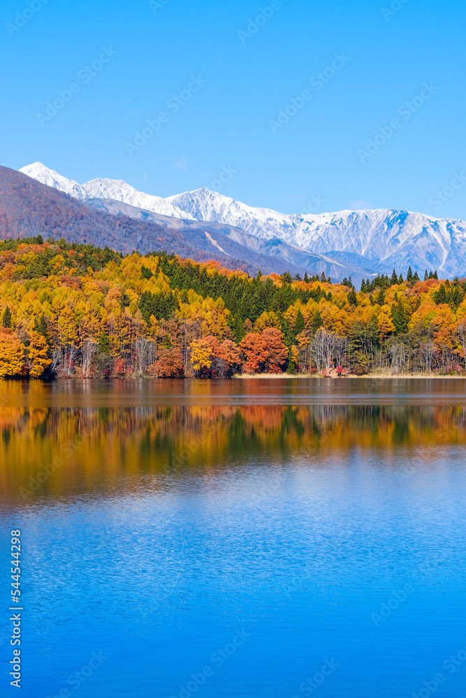 秋の青木湖