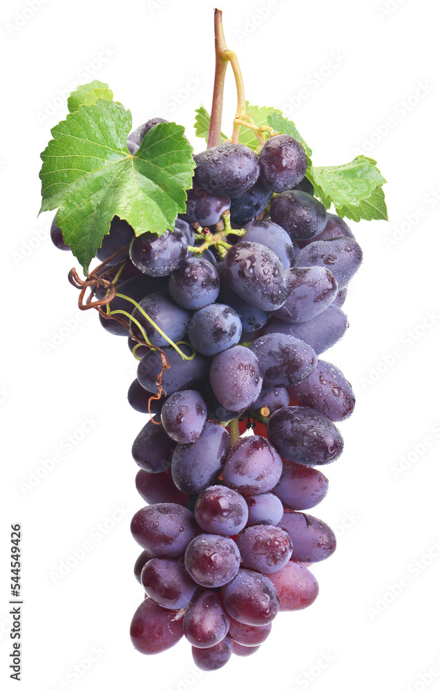 Fototapeta premium Bunch of grapes isolated