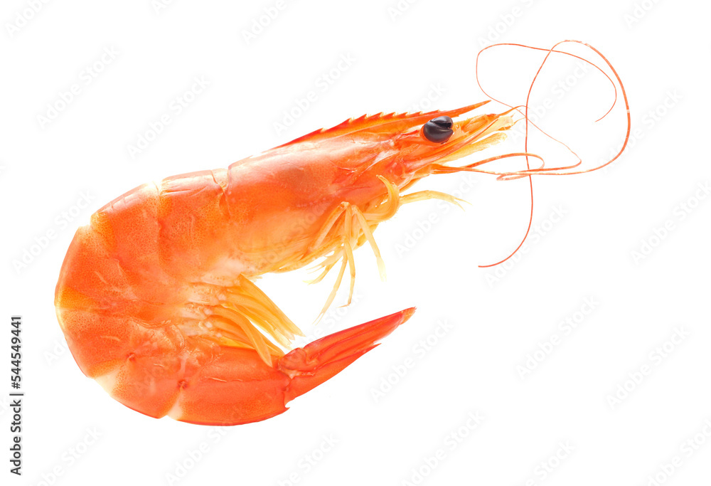 Fototapeta premium Boiled shrimps on white background