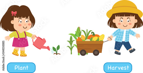 Opposite words to plant and to harvest vector illustration
