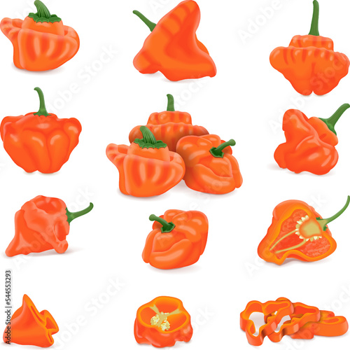Set with whole, half, quarter, slices, and wedges of orange scotch bonnet peppers. Capsicum chinense. Hot chili pepper. Fresh organic vegetables. Vector illustration isolated on white background.