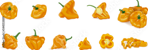 Set with whole, half, quarter, slices, and wedges of yellow scotch bonnet peppers. Capsicum chinense. Hot chili pepper. Fresh organic vegetables. Vector illustration isolated on white background.