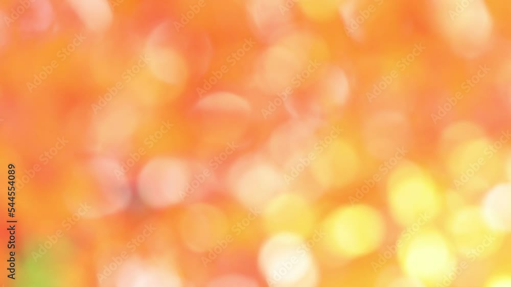 かえでの紅葉のアウトフォーカス かえでの紅葉のアウトフォーカス