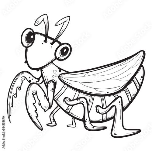 cute hand drawn line praying mantis for various decorative designs