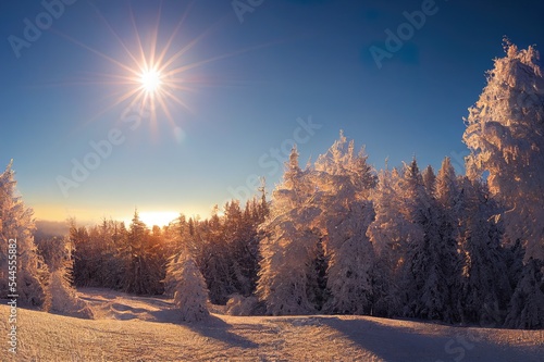 Magical white winter sun at Dobratsch Natural Park with untouched snow and frost covered pine trees, Villach, Carinthia, Austria