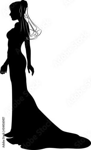 A woman bride in a bridal wedding dress in a silhouette