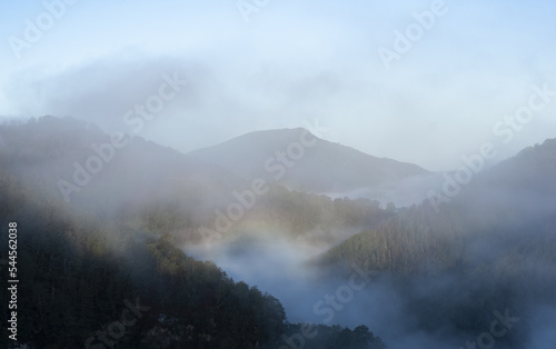 The mists of dawn cover the Urumea river valley.