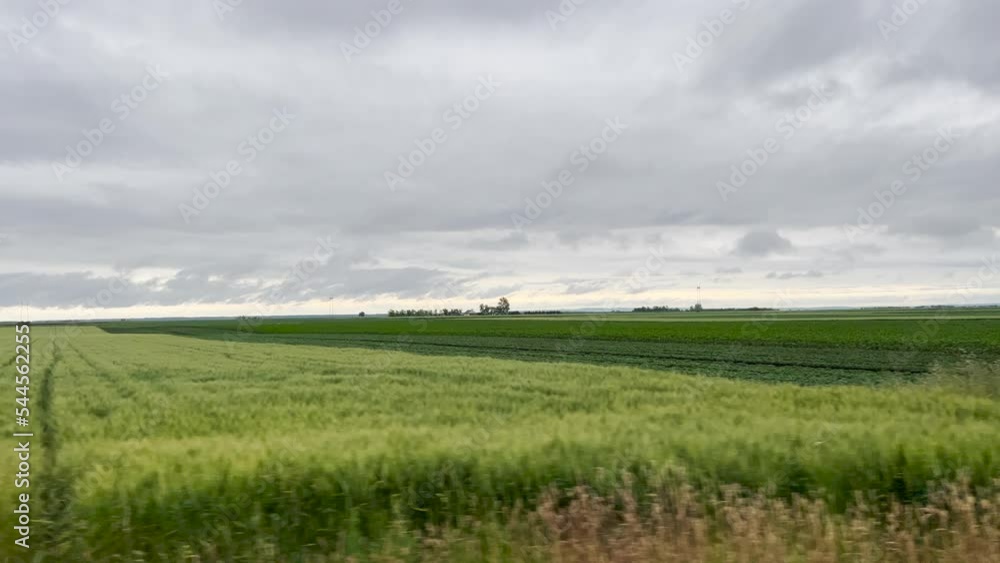 Driving through cultivated fields in spring, side view from car in motion Driving through cultivated fields in spring, side view from car in motion