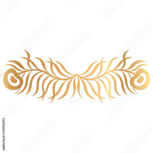 Element design peacock feather nature.Art deco hand drawn style gold color. photo