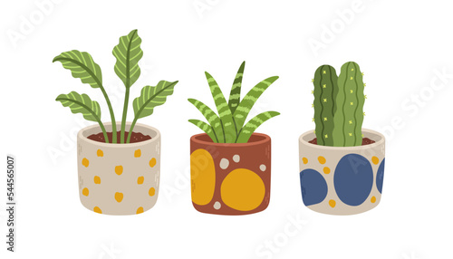 Flowers pot set. Organic flat houseplant collection. Set of house indoor plants. Vector illustration.