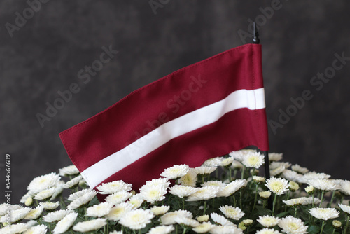 White and red.  Colors of Flag. Autumn. Symbols of Latvia. Proclamation Day of the Republic of Latvia