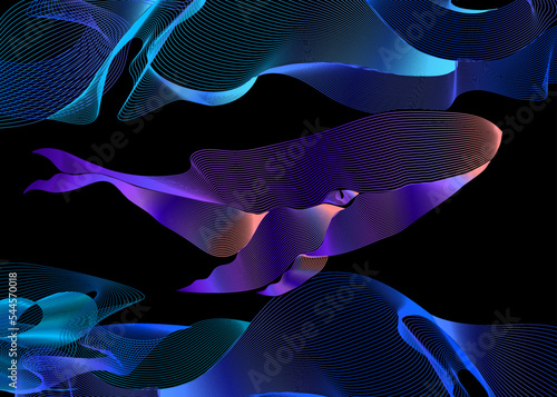 whale hairline, vector