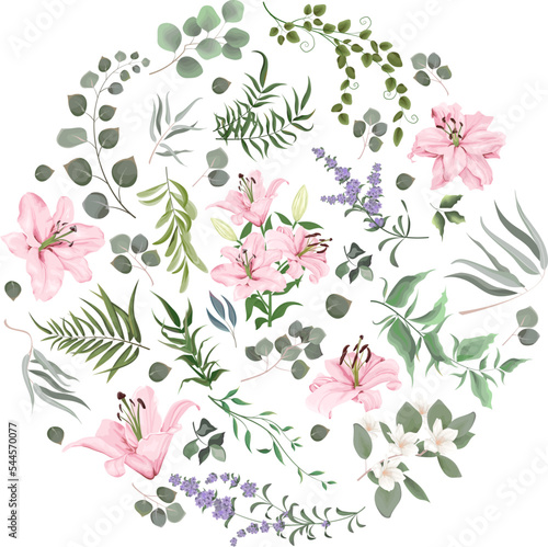 Vector Floral Set. Pink lilies , lavender, eucalyptus. Different kinds of plants and leaves. Collection for wedding design 