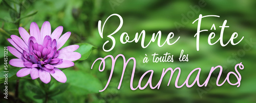 фотографія Fête des mères, bonne fête à toutes les mamans
