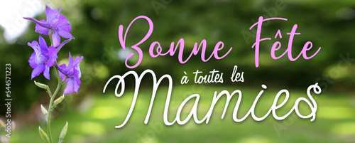 Photos Fête des grand-mères, bonne fête à toutes les mamies