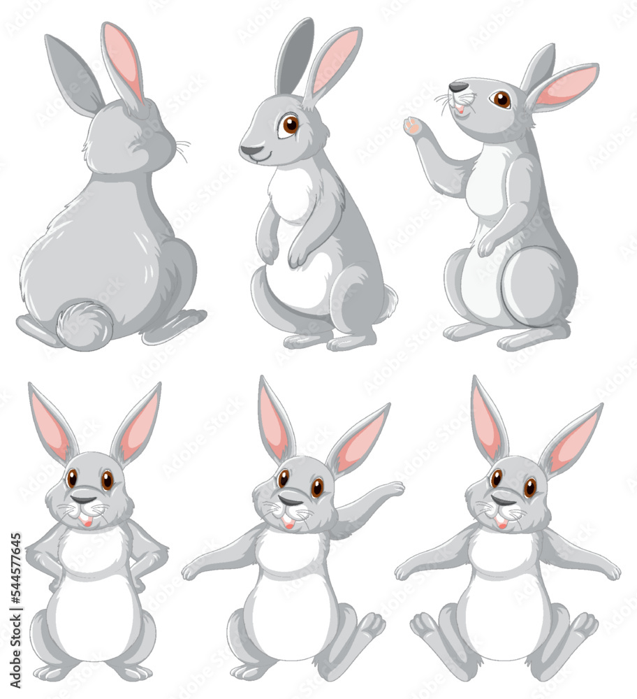 White rabbits in different poses set