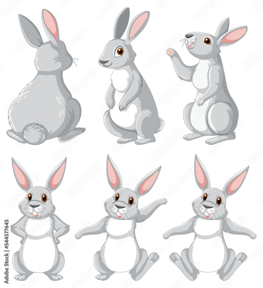 Fototapeta premium White rabbits in different poses set
