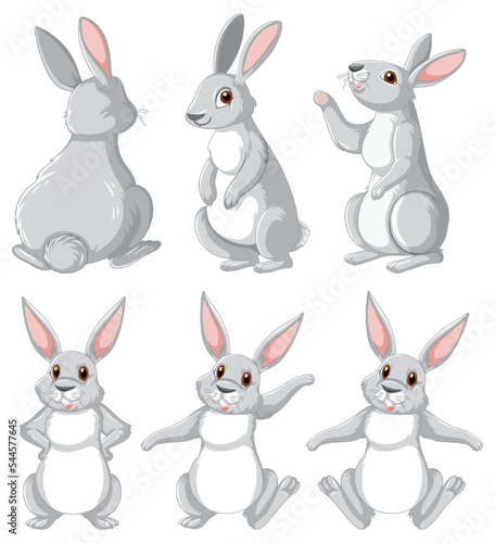 White rabbits in different poses set