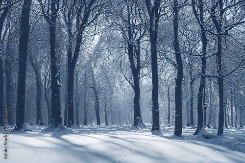 A beautiful winter scenery in a forest with trees all covered in snow in Denmark