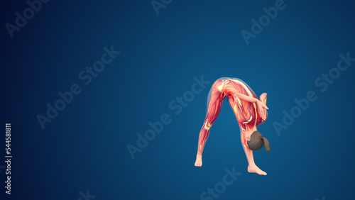3D human Parsvottanasana Variation with arms in reverse namaskar yoga pose on blue background