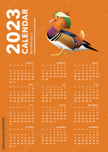 Calendar 2023, Bird Calendar , Mandarin Duck illustration design week start Monday template vector image eps file can edit color font and background