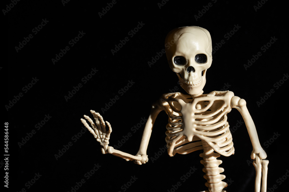 Human Skeleton waving greeting hand isolated on black background. Day of the Dead. Human Skeleton waving greeting hand isolated on black background. Day of the Dead.