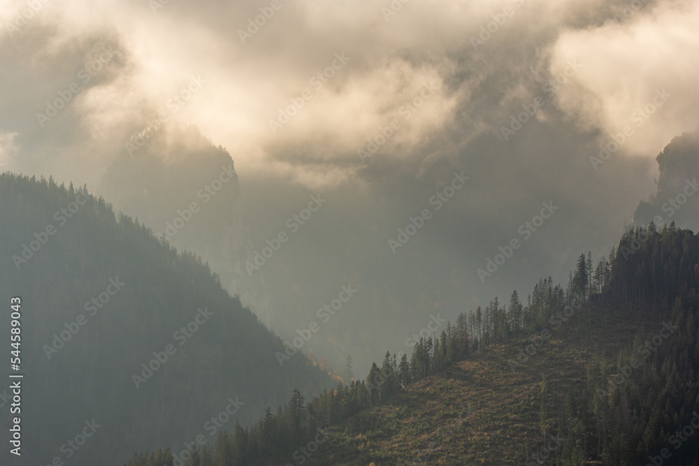 fog in the mountains, Belianske Tatras