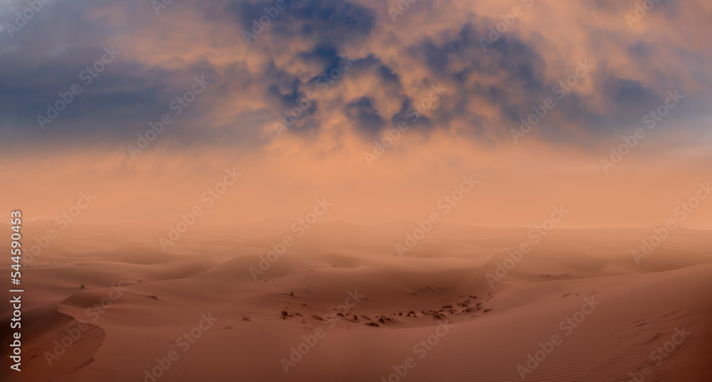 Sand dunes and sand storm in the Sahara desert - hot and dry desert landscape - obrazy, fototapety, plakaty 