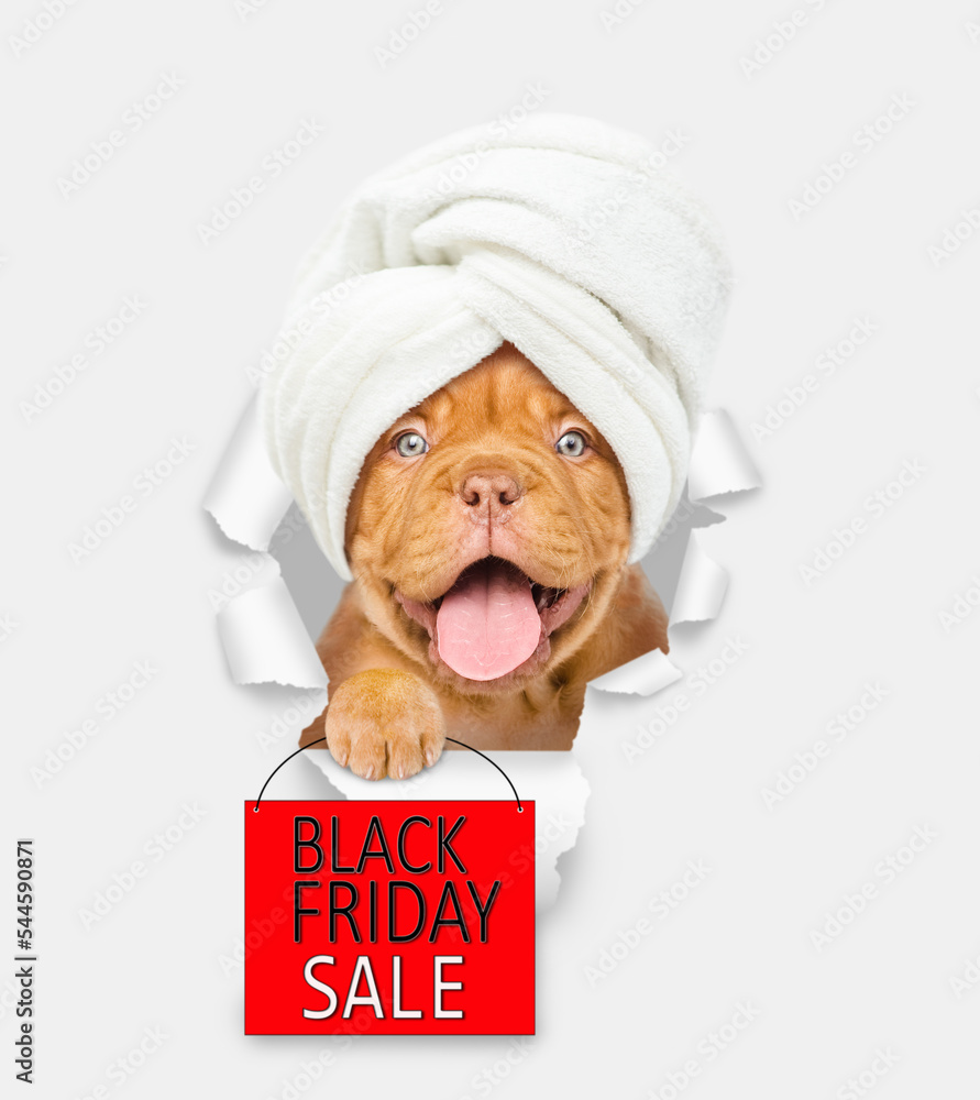 Black friday puppy sale cheap