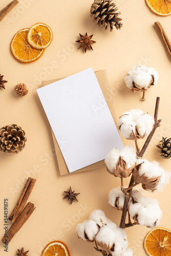 Top view vertical photo of craft paper envelope paper card cotton branch dried orange slices pine cones anise and cinnamon sticks on isolated beige background with blank space