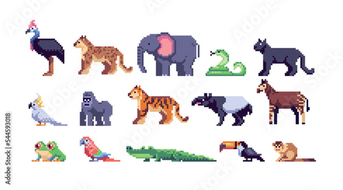 Rainforest Animals pixel art set. Amazon wildlife collection. Tropical fauna, exotic species, 8 bit. Game development, mobile app.  Isolated vector illustration.