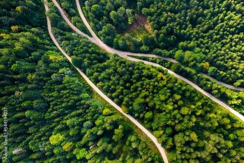 Aerial view of roads in the middle of the forest with high spruce or pine trees. Young forest to avoid climate change and save biodiversity