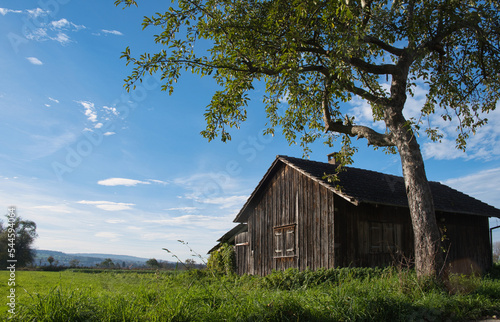 Alleinstehende Hütte im Feld