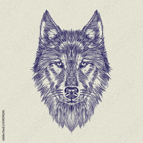 wolf head. line art sketch. hand drawn illustration collection
