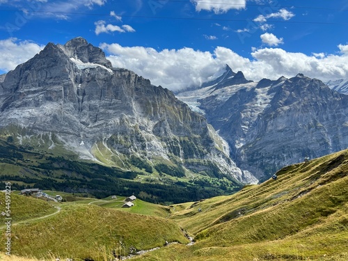 Mountain Grindelwald First Switzerland Trekking Hiking