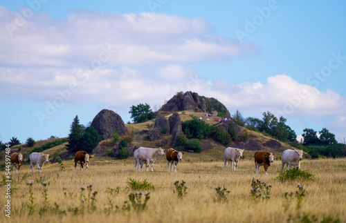 Helfensteine       in the D  rnberg nature reserve. Landscape near Kassel with fields and hills. 