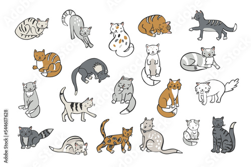 Fototapeta Naklejka Na Ścianę i Meble -  Cat domestic animal vector illustrations set.