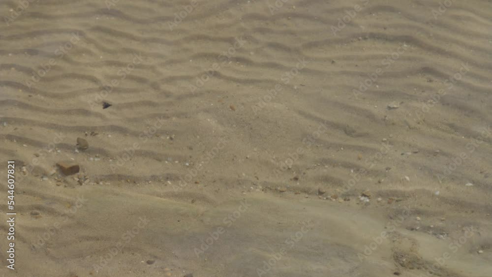 sand ripples and waves at lake bottom sand ripples and waves at lake bottom