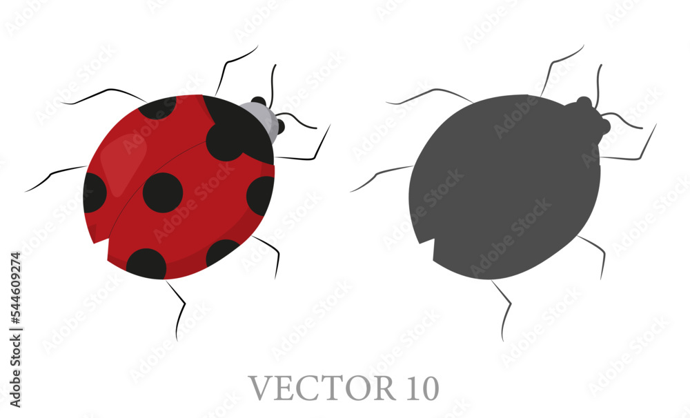 Vector cartoon image of a ladybug and its shadow. The concept of ...