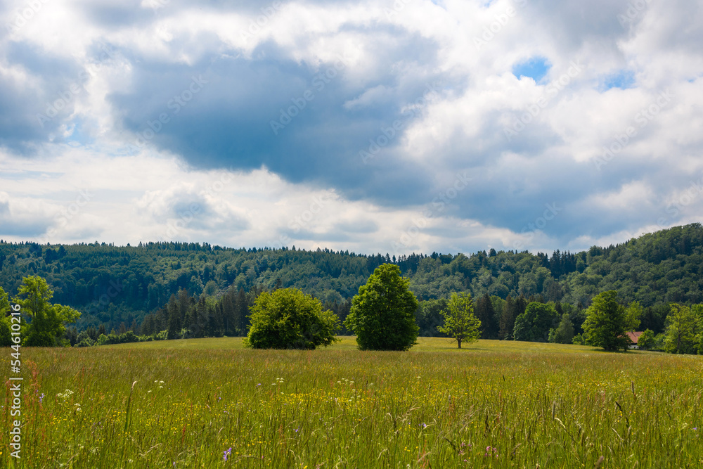 landscape with grass and clouds