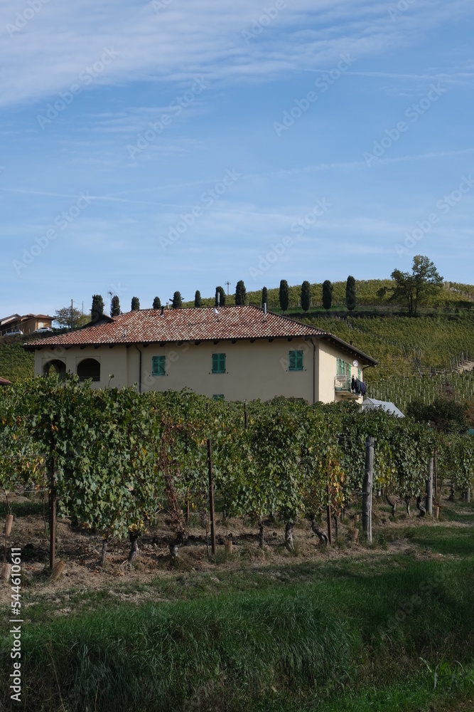 Maison et Vue sur les vignes