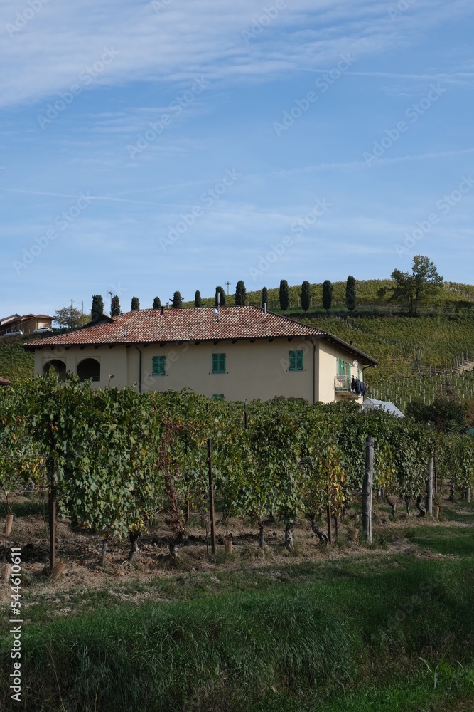 Maison et Vue sur les vignes 