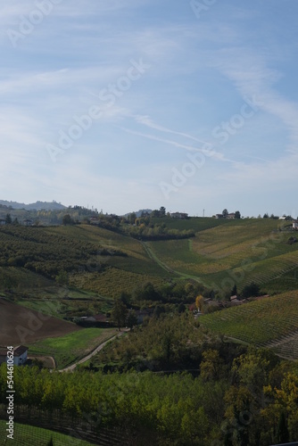 Obraz na płótnie Vue sur les vignes w salonie