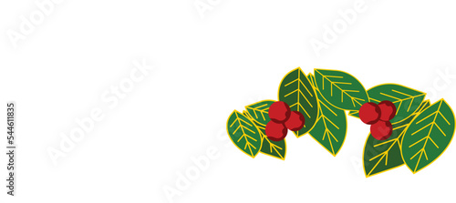 Ilex aquifolium or common holly for Christmas decorations. simple vector art.