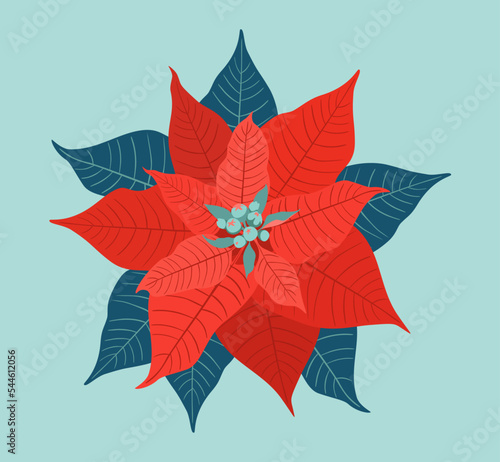 Poinsettia. Red Christmas star, symbol of Christmas and New Year holidays. Vector illustration isolated on a light green background. For the design of postcards, invitations to winter holiday parties.