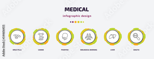 medical infographic template with icons and 6 step or option. medical icons such as drug pills, canine, pharynx, biological warning, liver, diagtic vector. can be used for banner, info graph, web,
