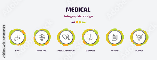 medical infographic template with icons and 6 step or option. medical icons such as stoh, phary tool, medical heart scan, esophagus, notepad, bladder vector. can be used for banner, info graph, web,