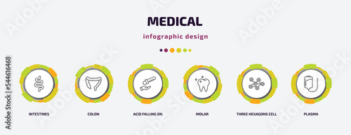medical infographic template with icons and 6 step or option. medical icons such as intestines, colon, acid falling on hand, molar, three hexagons cell, plasma vector. can be used for banner, info