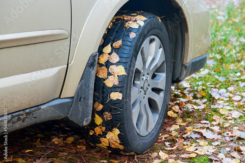 Koła samochodu osobowego. Opony oblepione śliskimi, jesiennymi, żółtymi liśćmi. Poślizg na liściach zalegających pobocza. © Tomasz